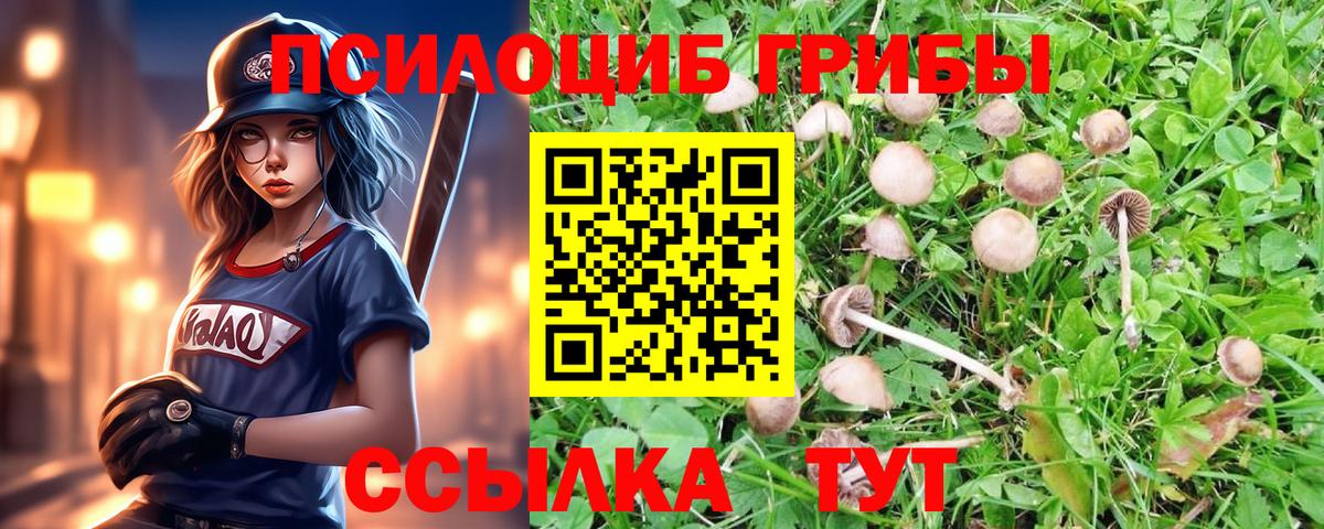 Псилоцибиновые грибы мицелий  Псилоцибиновые грибы Cubensis  Иркутск  Вход с VPN 