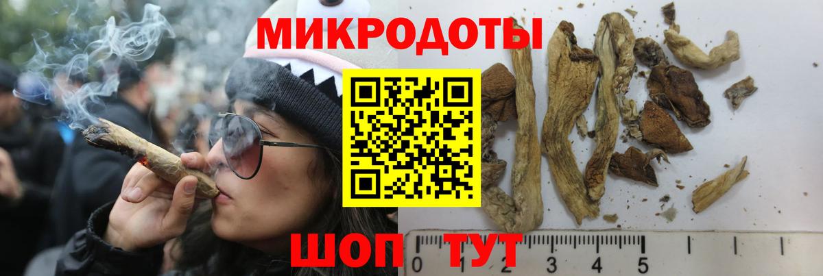 Галлюциногенные грибы MAGIC MUSHROOMS Иркутск